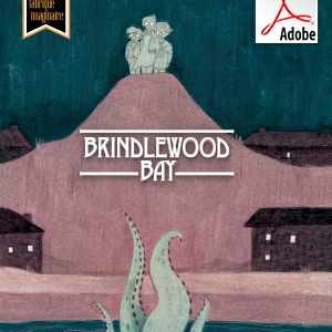 Brindlewood Bay – édition numérique (PDF)